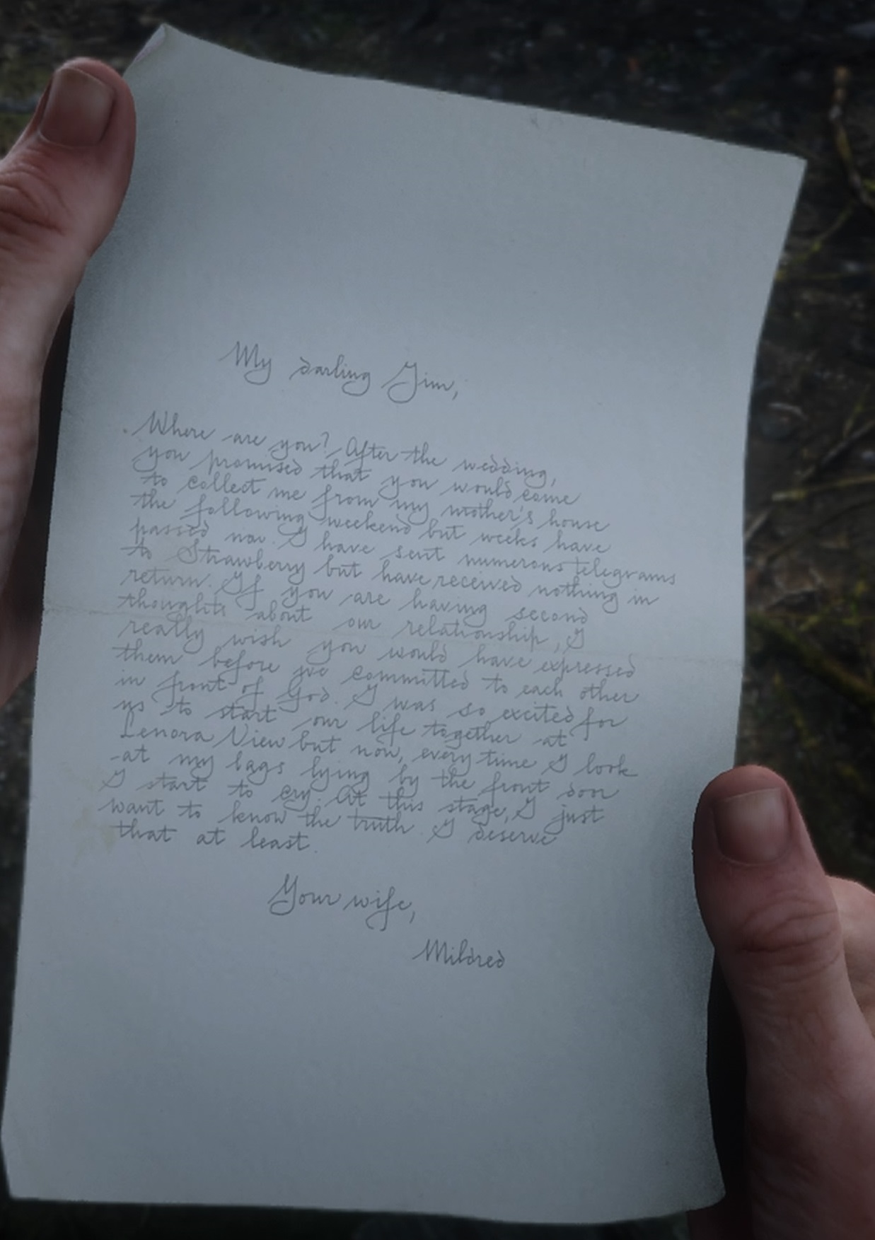 Lenora View RED DEAD REDEMPTION 2 情報&攻略 wiki RDR2 atwiki（アットウィキ）